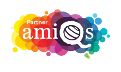 https://www.amiqs.pl/